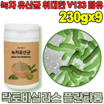 꼼꼼한 검수 통과한 자연이 주는 선물 락토 바실러스 플란 타룸 녹차 유산균 프락토 올리고당 위대한 V 133 녹자 우산균 위산균 유신균 프로바이오틱 가루 파우더 분말 파는곳 추천, 9