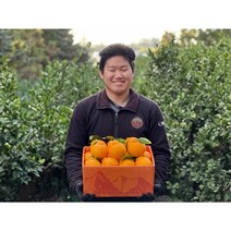 [제직증명] 초신선 한라봉 1월특가(한정수량), 표선농협 귤로장생 명품선물세트 5KG특대과(10~16)