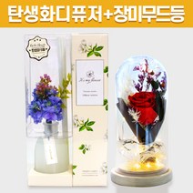 탄생화 디퓨저 선물세트 5월 탄생화 라일락 퍼플블루 + 장미 무드등 남자친구 여자친구 남사친 여사친 언니 선생님 직장동료 생일 집들이선물 실내 디퓨저 실내방향제 디퓨저, 청포도, 레드, 500ml