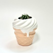 Ice-cream X 화이트 라코비