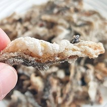 북어껍질튀김 맛태 먹태구이 명태껍질 명태껍질튀김, 명태껍질 튀각 300g