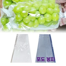 과일포장지 투명 포도봉지 포토봉투 포장지 야채봉지 신선보관 샤인 머스켓 한지 봉투 장기보관 유튜브봉투 100매, 샤인머스켓 포장 비닐