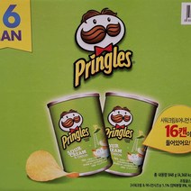 농심켈로그주식회사 농심 포테이토 프링글스 샤워크림 어니언 미니캔 16입 (샤워크림과/입/스낵/과자/식품 추천), 1개