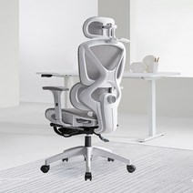 HOMEY NEST 풀메쉬 인체공학 3D 요추 게이밍 컴퓨터의자 HN-OC1006LK, 화이트