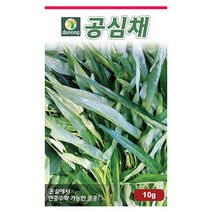 애기방울다다기 양배추 500립 방울양배추 양배추씨앗 양배추씨 채소씨 채소씨앗 야채씨 야채씨앗, 01_다농_공심채(10g)