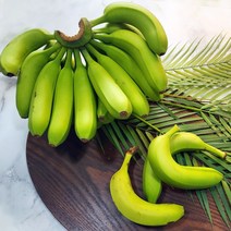 바나나초록색 종류 및 가격