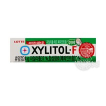 롯데 자일리톨F 24g 롯데껌 소풍 야외 운전 군것질