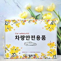 차량용 안전 용품 세트 프리미엄 버전 6종 8종 자동차 소화기 불꽃 신호기, 1번-6종세트