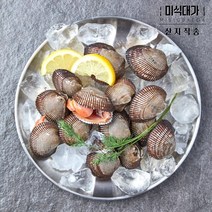 당일조업 남해안 피조개 피꼬막 꼬막, 10kg, 1개