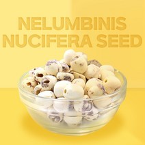 더건강한 샵 깐 연자육 연꽃씨앗 연꽃씨 연육 연씨 연밥, 300g, 1팩