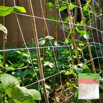 식물 그물 네트 넝쿨 호박 오이 텃밭 망 5M 지지대, 1개