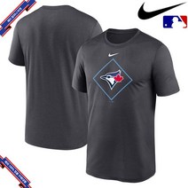 [미국정품] 나이키 MLB 토론토 블루제이스 Legend Icon Performance - Anthracite 715563