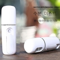 나노입자 충전식 휴대용 미스트기 화이트, TL-702-B