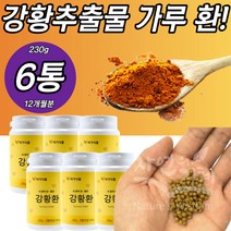 강황추출물 분말 가루 CURCUMIN 환 파는곳 가격