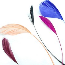 (주)아트인 새 꼬리 깃털(10개), 블루