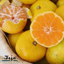 새코롬달코롬 제주감귤10kg 2s S M 랜덤발송15900원