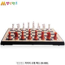 소형 자석 체스게임 초등학생 생일선물 놀이완구 놀잇감 초등학교2학년선물 보드게임