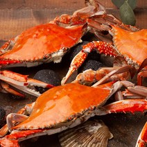 장안씨푸드 국내산 냉동 숫꽃게 4~5마리, 1box, 3kg