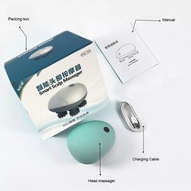 두피 관리기 헤어빔 전동 마사지기계 전기 헤드 masajeador electrico, 상자로 마사지