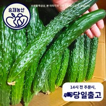 ( 승재농산 ) 국내산 가시오이 청오이 오이 못난이오이 (상등급) 2.8kg~3kg 4.5kg~5kg 10kg내외, 상등급10kg내외, 1개