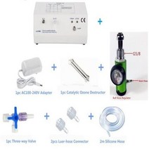 오존발생기 음이온 공기 살균기 청정기 기타가정의료용품 소형 용 오존 치료 발생기 살상자 포함, with Regulator BS+2.5kg