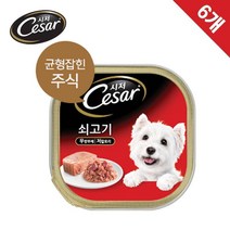 애견습식사료 시저 캔 쇠고기 100g 6캔 강아지패드 강아지밥 토우사료 강아지습식사료 푸들사료 나우사료 소형견사료 강아지간식 유기농사료 대형견사료
