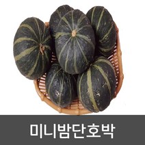 약수농장 국내산 미니밤단호박 2kg(6수~10수), 1박스, 미니밤호박2kg