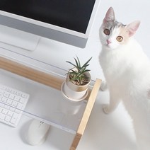 고양이 키보드 테이블 커버 덮개 선반 - 요기 캣보드, 멀바우