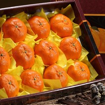 23년 명절선물세트 올레돌밭농원 제주직송 돌밭레드향3Kg/5kg 가방포함(선물용), 1개, 선물용레드향5Kg대과(가방포함)