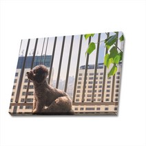 귀여운 강아지 사진 캔버스액자 (고객님 강아지 사진으로도 제작 가능합니다), DOG06