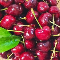 [항공직송] 로얄 사이즈 새콤달콤 아삭한 고당도 생 체리, 1kg