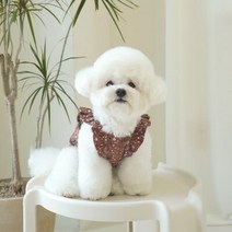 메이플 원피스 / 브라운, L(Large)