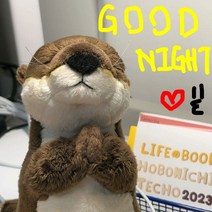 수달인형 국민 애착 동물 해달 봉제 인형, B, 20cm