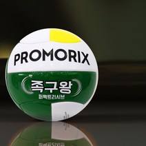 모릭스 연습용 족구공 4호 야유회 동호회 족구왕 보급형