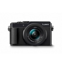 파나소닉 [파나소닉] LUMIX 카메라 DC-LX100M2_DMW-LFAC1+64GB, 단일옵션