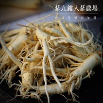 (삼화원)세척파삼 5~6년근 바로먹는 수삼 금산인삼 세척인삼 굵은파삼 파지 못난이 인삼, 세척파삼300g