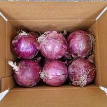 [산지당일발송] 잘 말려 단단한 2023년 햇 양파 빨간양파 3Kg/5kg/10kg/20Kg, 햇 빨간양파5kg 특, 1개