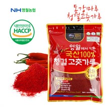 22년산 [영월농협]동강마루 청결 고춧가루500g(보통맛), 단품, 500g
