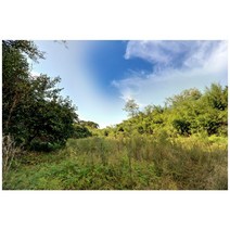 S708-0/까치집사진 대형사진 A1 시골사진 벽장식 인테리어사진 풍경화 풍경사진 풍경화그림, 유포지(코팅)