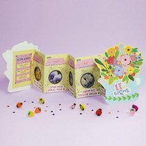 큰솔스토밍 몽스쿨 KY2050 봄꽃 북아트, one color/free