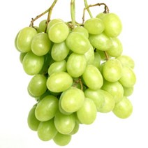 FUNET 샤인머스켓 청포도 블랙사파이어 거봉, 1박스, 22_청포도 국산청포도 1kg