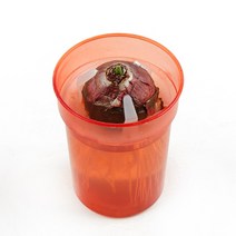 갑조네 히아신스 수경 구근식물 히야신스 키우기 부케꽃 향기좋은꽃, 히아신스 수경(분홍)