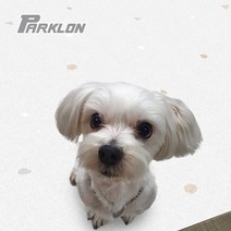 강아지매트 거실 DIY 애견 방수 반려 매트 베란다 쿠션 강아지 롤 묘 애견매트 ghddprjs*973886110gS, 해피하개(10T)(2장)