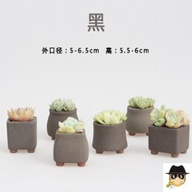 미니화분 인테리어 다육이화분 세라믹 선인장 장식 도자기 원예 미니 귀여운, 중등, 블랙맥반석엄지대야6개
