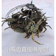 게포획망 민물고기 문어 함정 해루질 참게망 꽃게 투망 그물 뜰채 꽃게잡이 메기