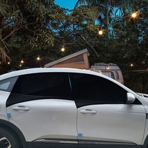 윈스톰 차박 햇빛가리개 모기방충망 6종세트 캠핑 실내열차단 용품 성에방지커버, RV SUV