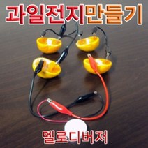 [RΘA] 향앤미과학 과일 전지 만들기 멜로디 버저 1인용 실험 키트 학습교구 교육용 교재 ▷_β5243Ea, 《β본상품》