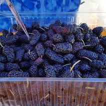 전북 고창 햇 냉동 오디 특품 과상 2호 5kg(벌크포장)/23년햇과, 단품