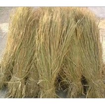 농가 새로운 밀짚 장식 맞춤형 온실 단열 커튼 빈티지 천연 건조 매트 기타부자재용품, 2 캐티 일반 빨대