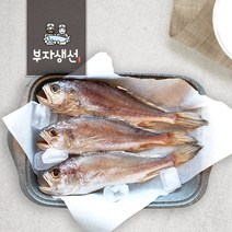 반건조 침조기 반찬용 5마리 27cm 30cm (망미중앙시장 부자생선), 침조기27cm 5마리
